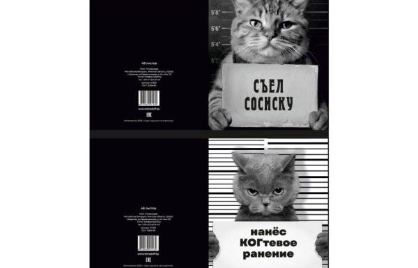 Тетрадь общая 48 листов, (клетка) КОТАН